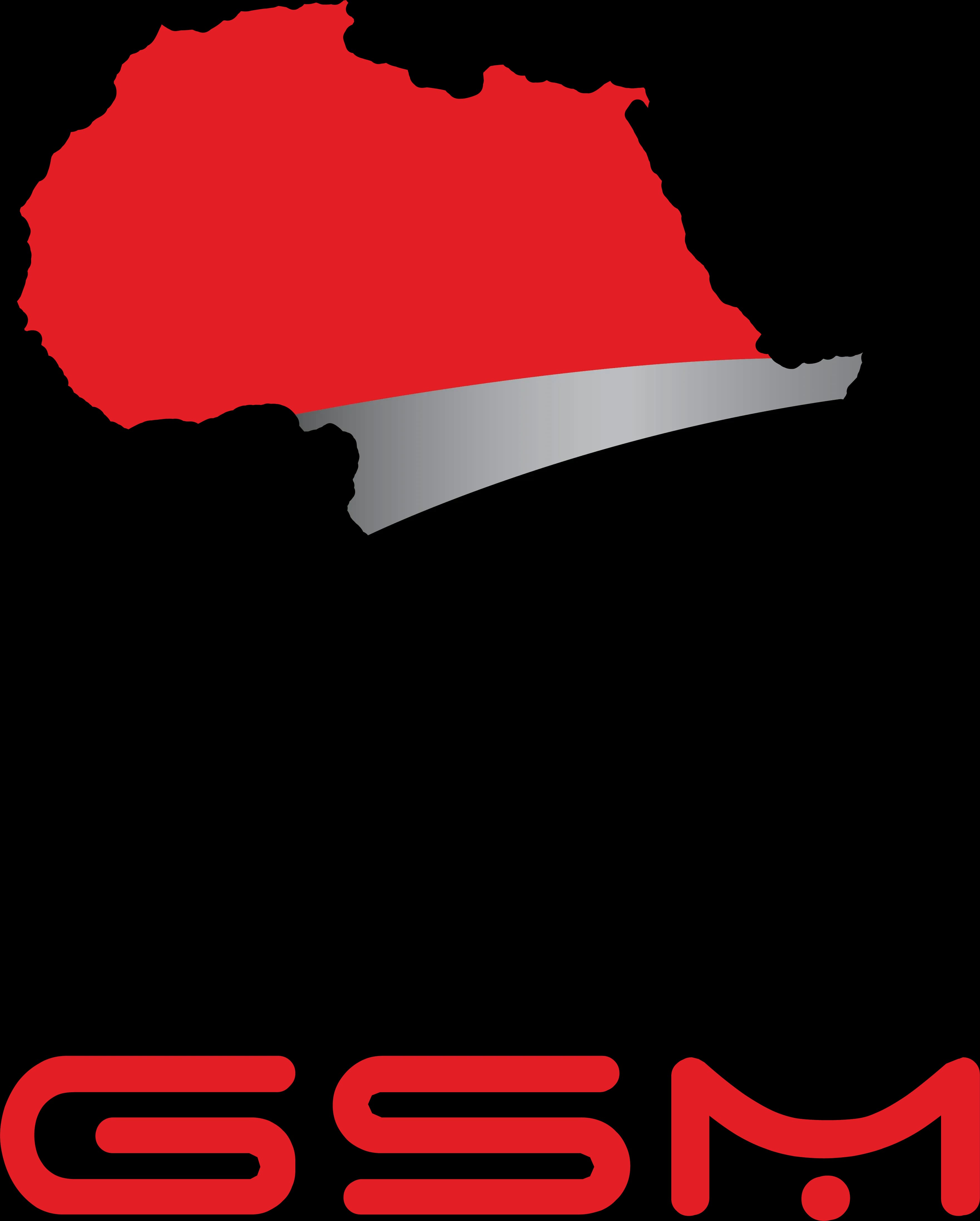 GSM Group